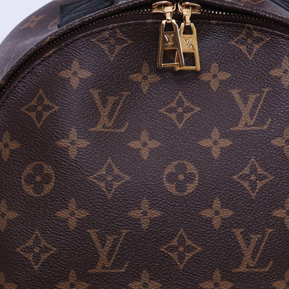 LOUIS VUITTON Monogram Palm Springs Backpack Brown Size MM
