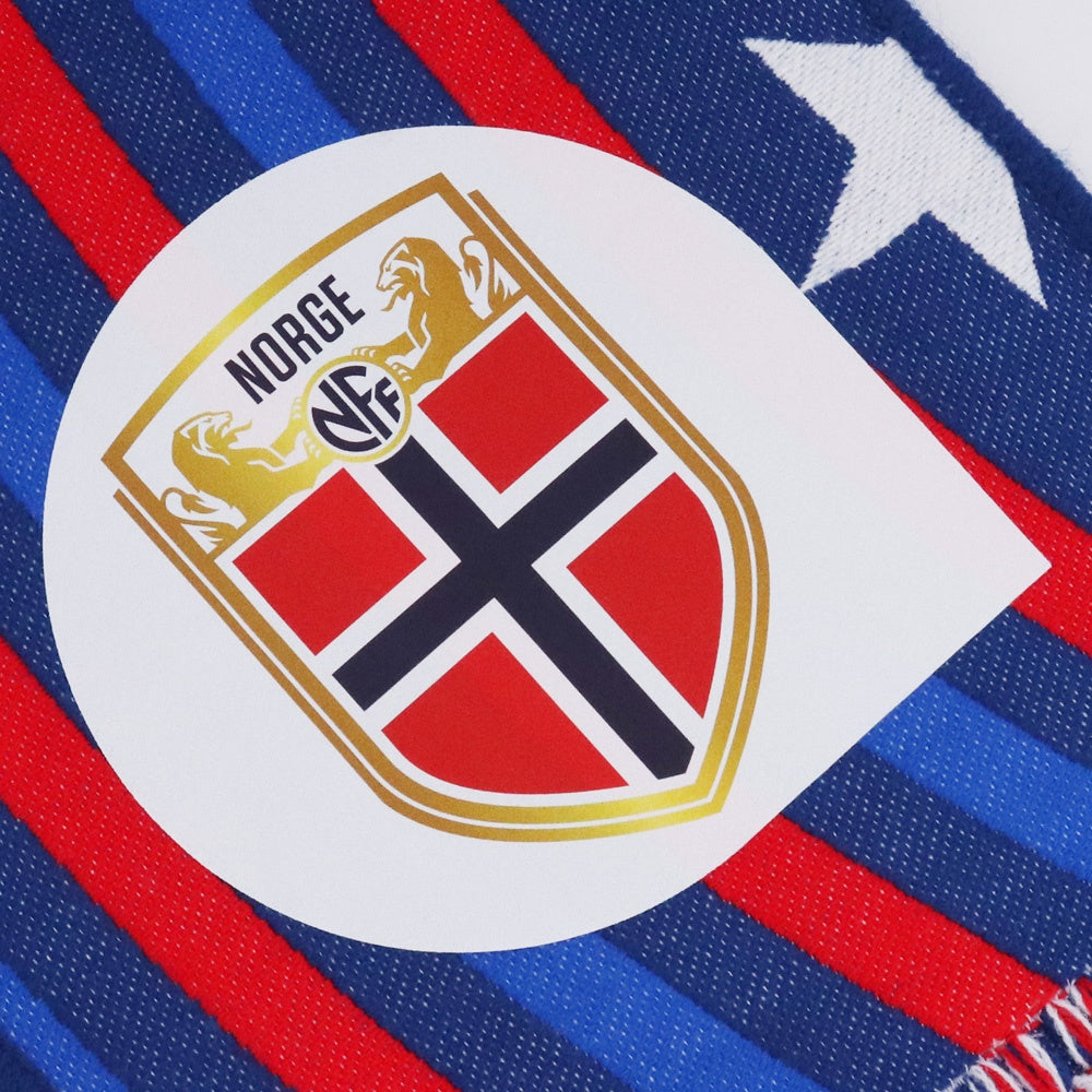 FIFA WORLD CUP 2026 Matchday Scarf Multi Color Size F