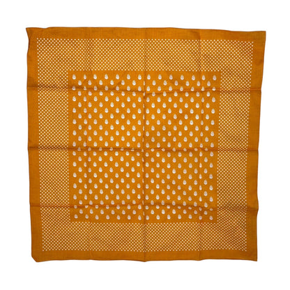 PLEDGE Rare Archive Skull Bandana Scarf 3-Piece Set