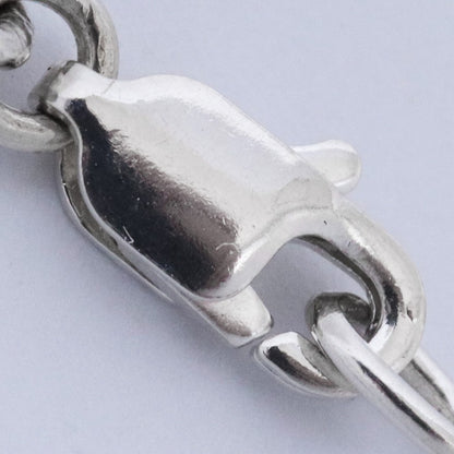 CHROME HEARTS NECK CHAIN Silver Roll Chain Necklace