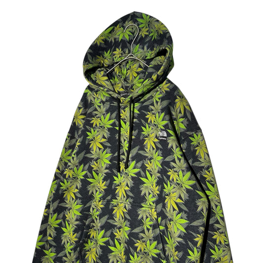 SUPREME x THE NORTH FACE 23AW Leaf Hoodie Black/Green Size S
