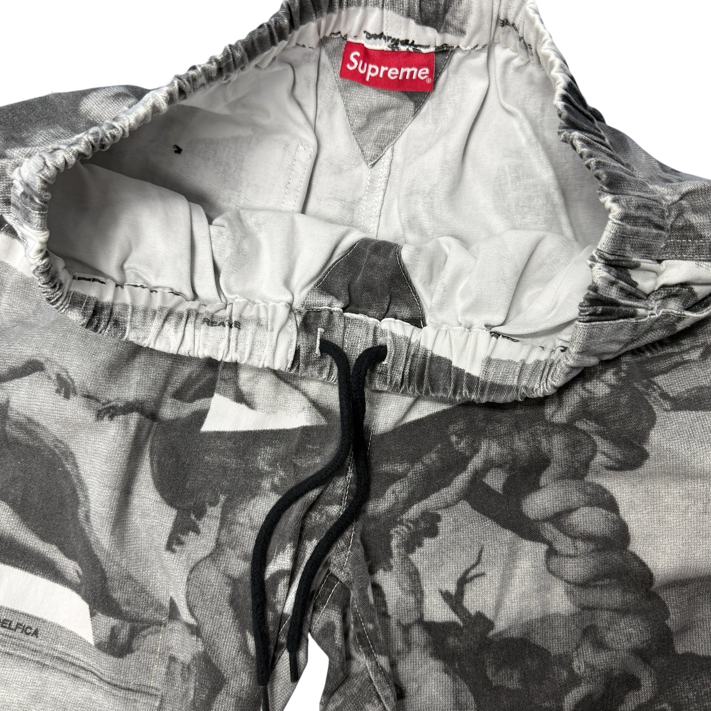 SUPREME 17AW Michelangelo All-Over Print Pant Size S