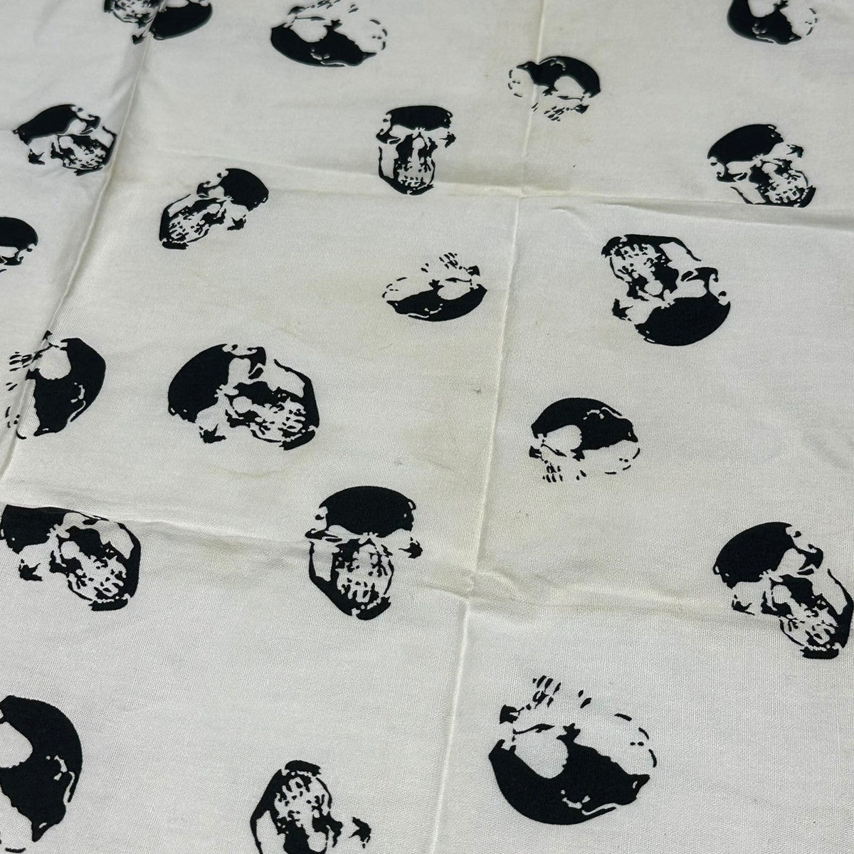 PLEDGE Rare Archive Skull Bandana Scarf 3-Piece Set