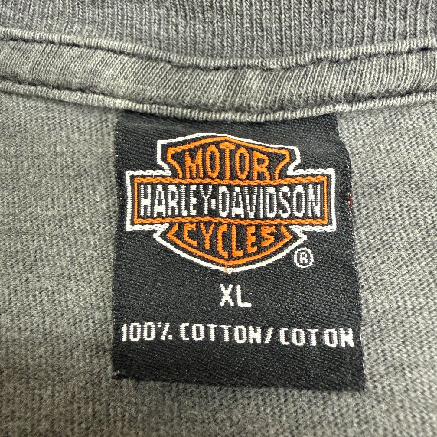 HARLEY-DAVIDSON 90s Gargoyle Lightning T-Shirt Size XL