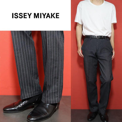 Issey Miyake Dark Gray Striped Tencel Slacks Size 2