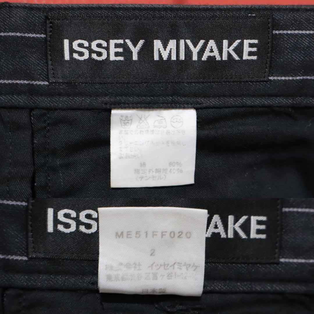 Issey Miyake Dark Gray Striped Tencel Slacks Size 2