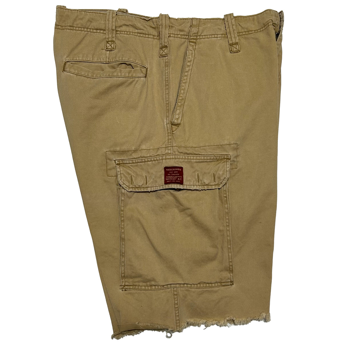 Abercrombie & Fitch A&F DISTRESSED CARGO SHORTS Size 36