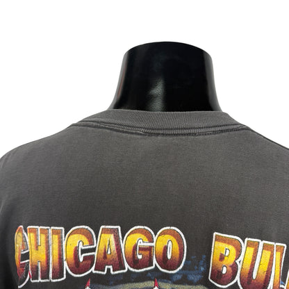 CHICAGO BULLS 90s 1997 NBA Champs Rap Tee Faded Size XL