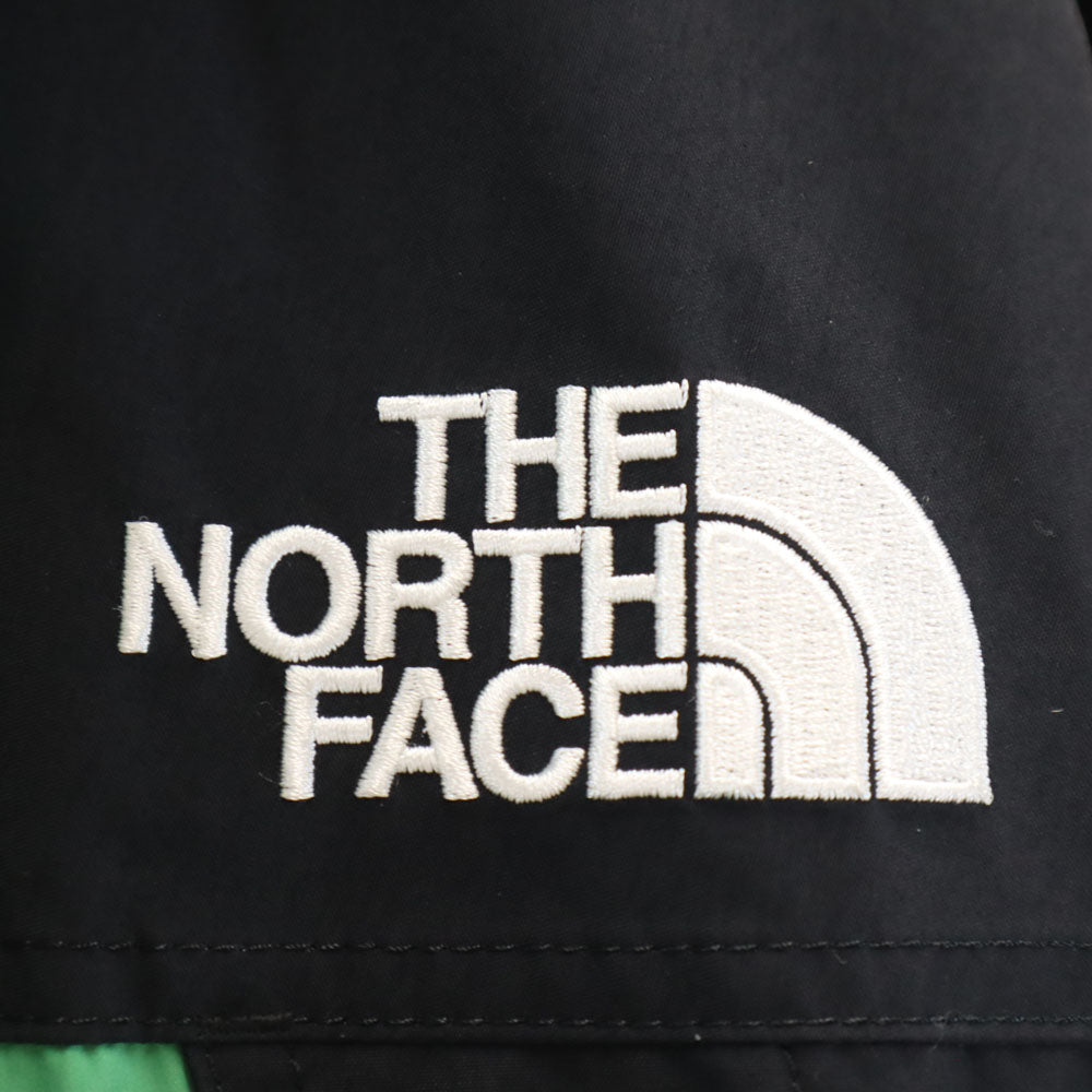 THE NORTH FACE Retro Mountain Light Jacket Green Size M