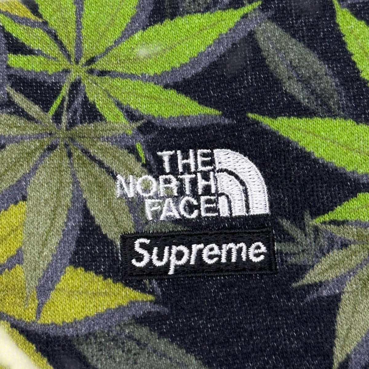 SUPREME x THE NORTH FACE 23AW Leaf Hoodie Black/Green Size S