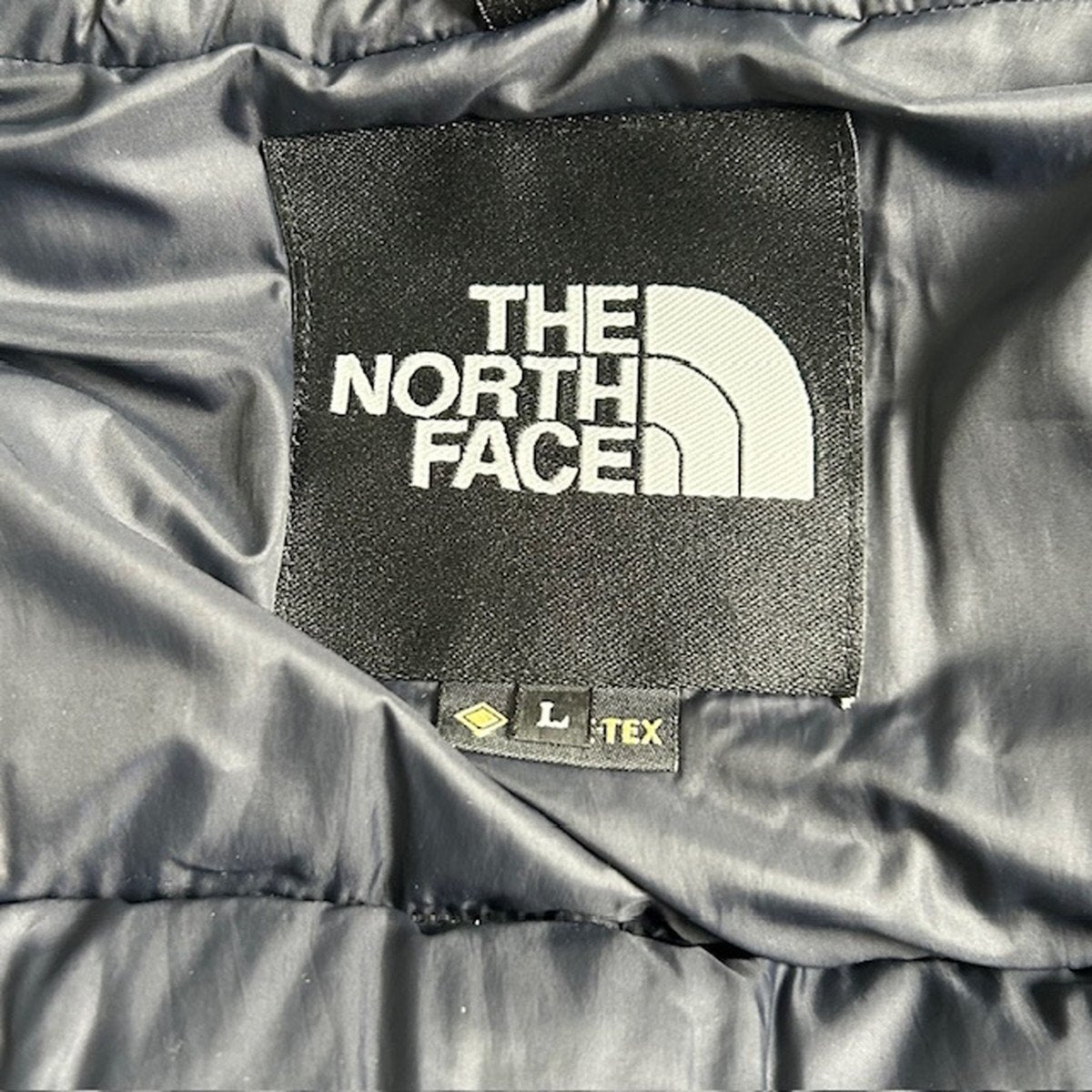 THE NORTH FACE GORE-TEX Mountain Down Jacket Black Size L