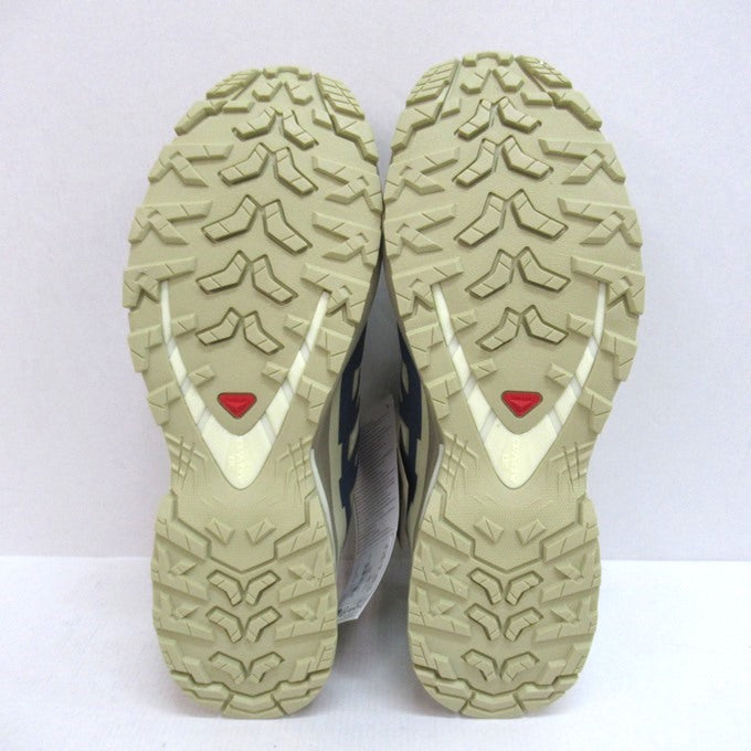 SALOMON XA PRO 3D V9 GTX Beige/Navy Sneakers Size 27cm