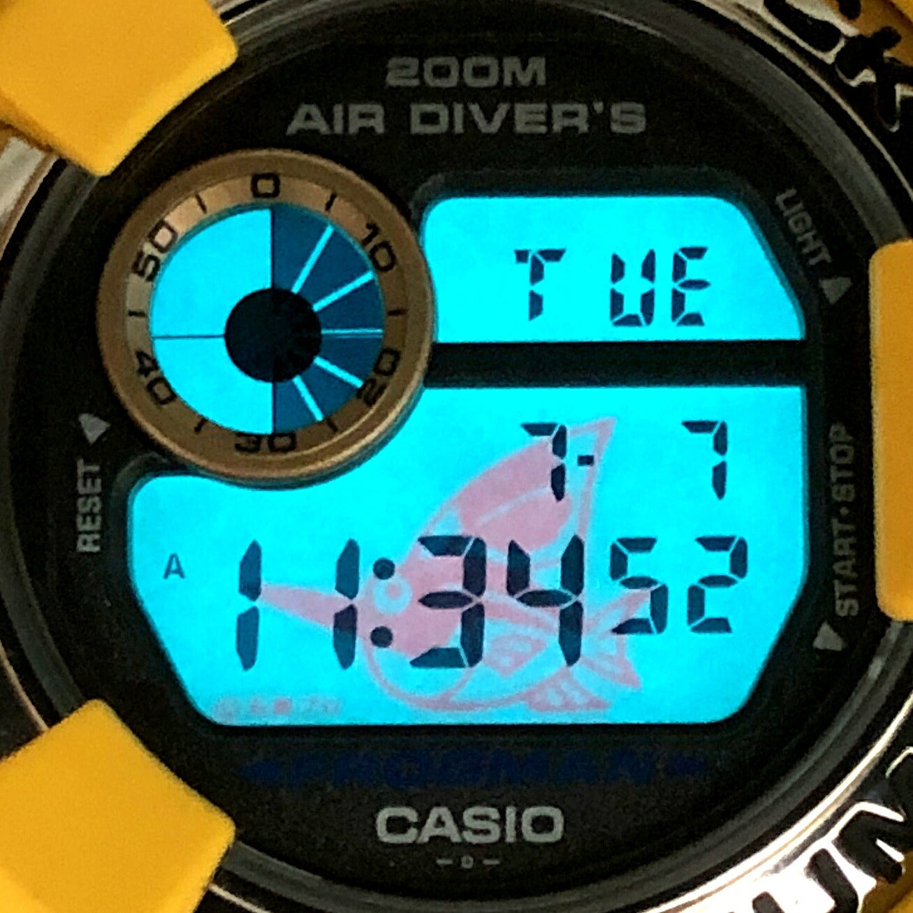 G-SHOCK Frogman America's Cup Marlin ONE SIZE Watch Size ONE SIZE