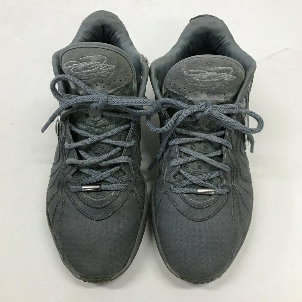 NIKE LeBron 21 EP Gray Sneakers Size 30