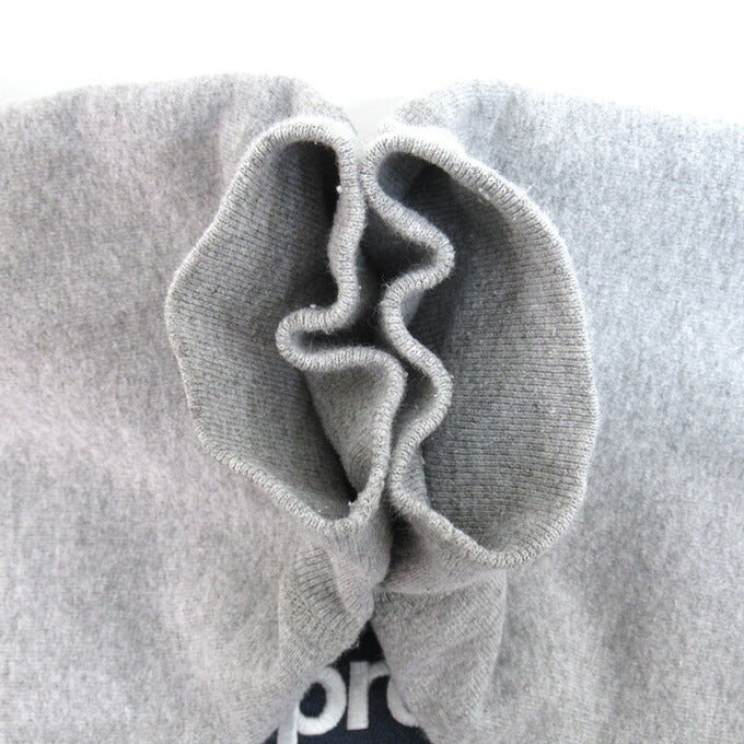 Supreme 25FW Box Logo Hooded Sweatshirt Gray Size M