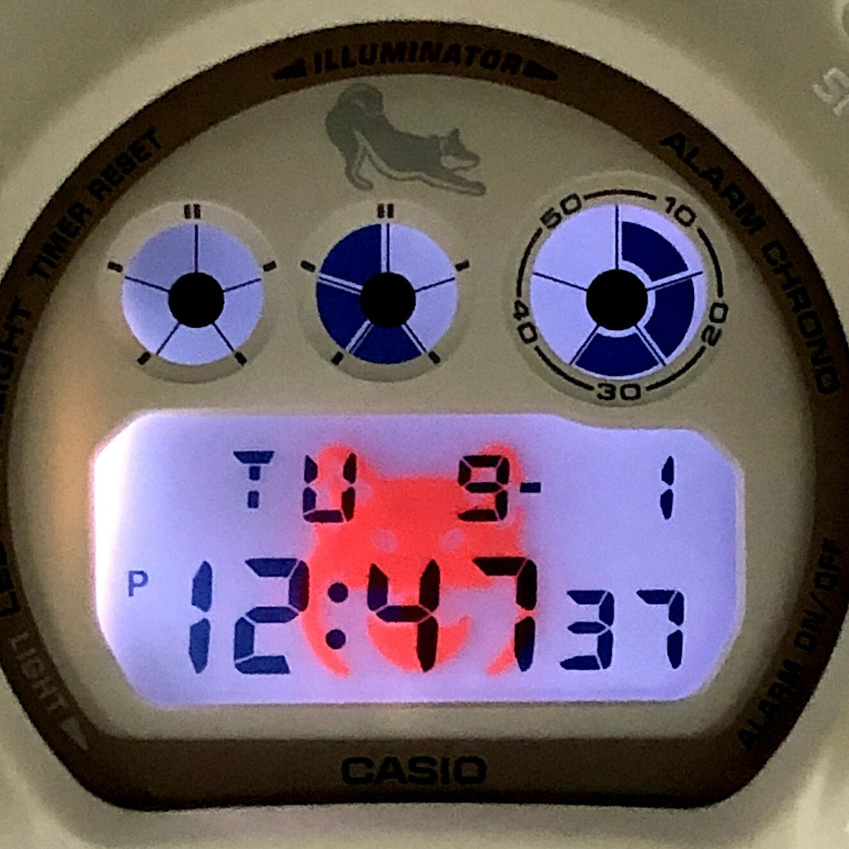 Casio G-SHOCK DW-6900SHB-7 SHIRO-SHIBA Shiba Inu Watch Multi