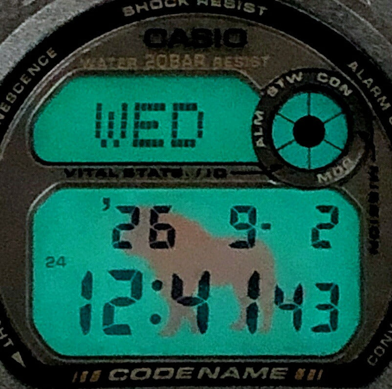 Casio G-SHOCK DW-8800MM-3T CODE NAME MASAIMARA Camo Watch