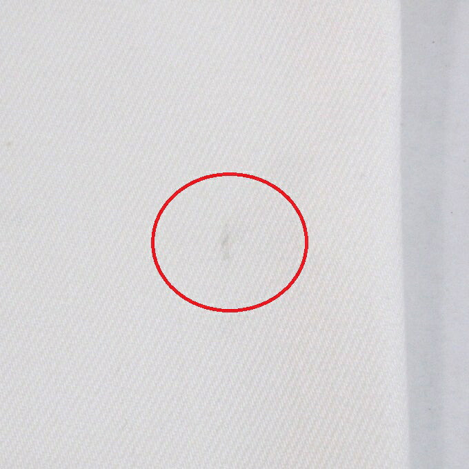 CHALLENGER Painter Pants White Size M