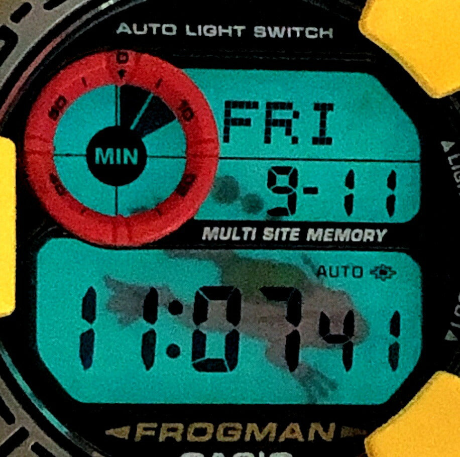 Casio G-SHOCK DW-9900GF-9 Frogman Metallic Titanium Watch