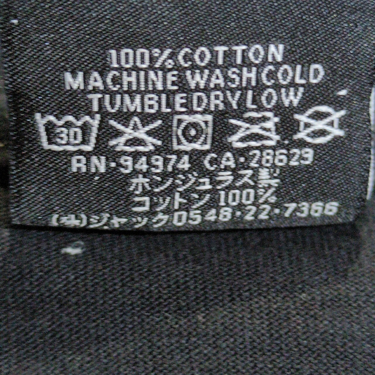 STUSSY 24SS David Carson Dino T-Shirt Black Size XL