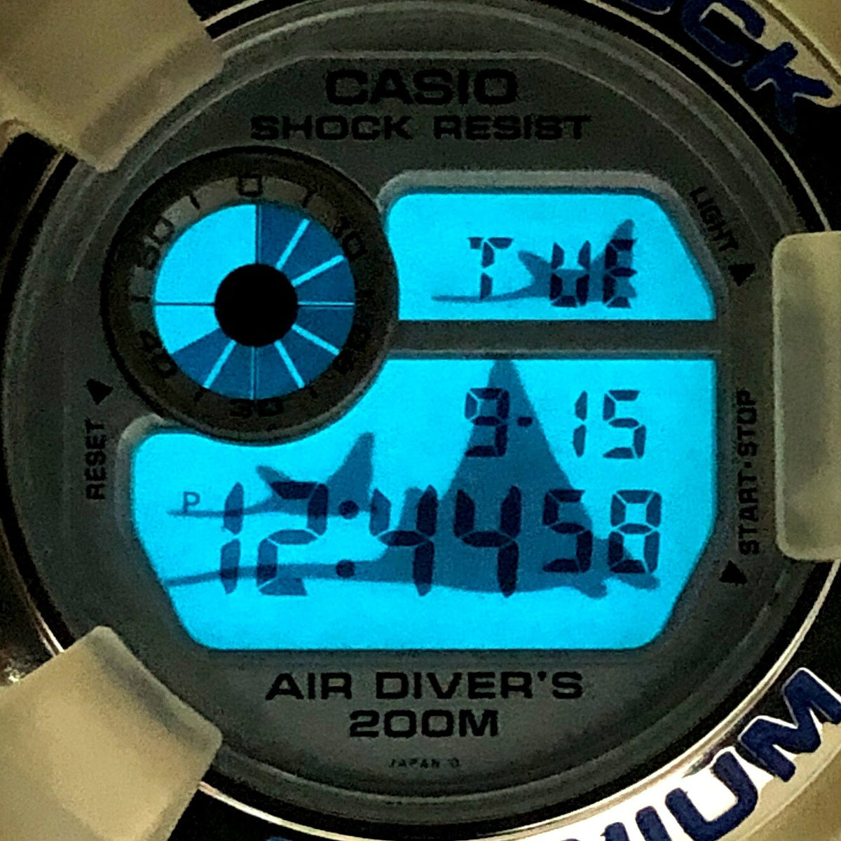 Casio G-SHOCK Frogman W.C.C.S. DW-8201WC-2T Skeleton Watch