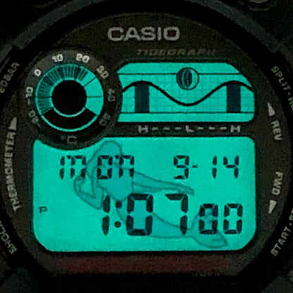 Casio G-SHOCK FISHERMAN MEN IN DW-8600ZJ-1T Watch 8600ZJ-1T