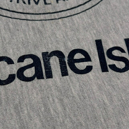 Champion 90s RW OUTWARD BOUND Compass Sweatshirt Gray Size L