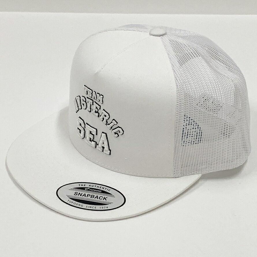 HYSTERIC GLAMOUR x WIND AND SEA Mesh Cap Size ONE SIZE