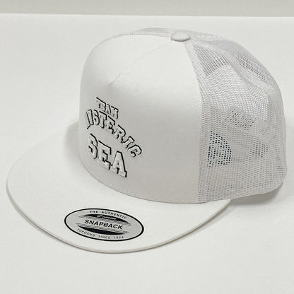 HYSTERIC GLAMOUR x WIND AND SEA Mesh Cap Size ONE SIZE