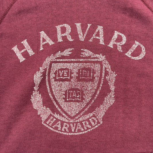 Champion 80s USA Harvard Raglan Hoodie Burgundy Size S