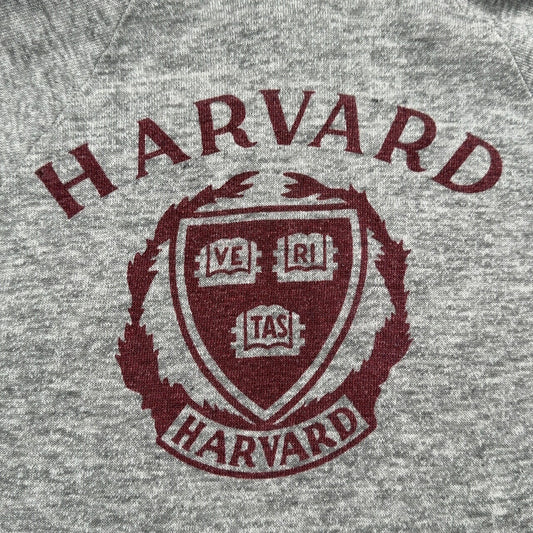 Champion 80s USA Harvard Raglan Hoodie Gray Size S