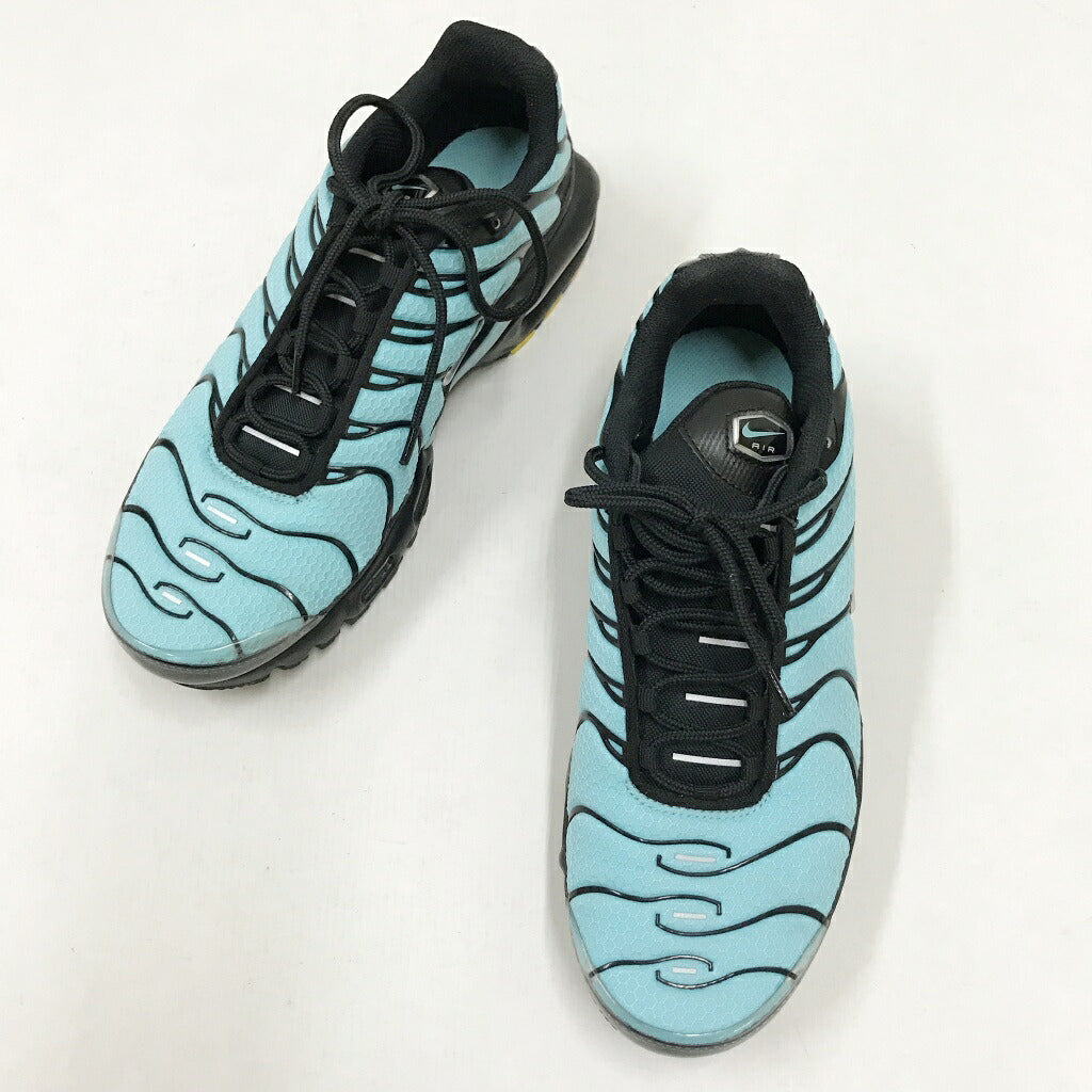 NIKE Air Max Plus Aqua Metallic Silver Sneakers Size 26.5