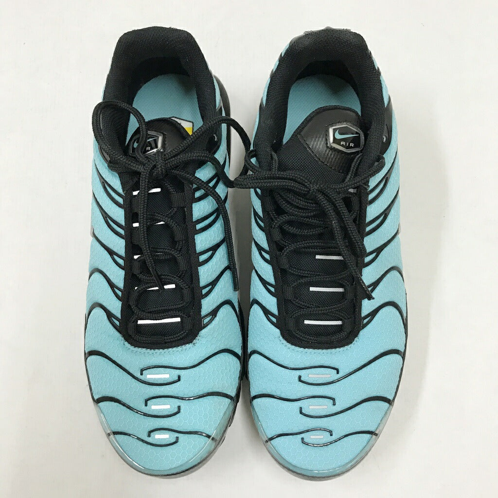 NIKE Air Max Plus Aqua Metallic Silver Sneakers Size 26.5