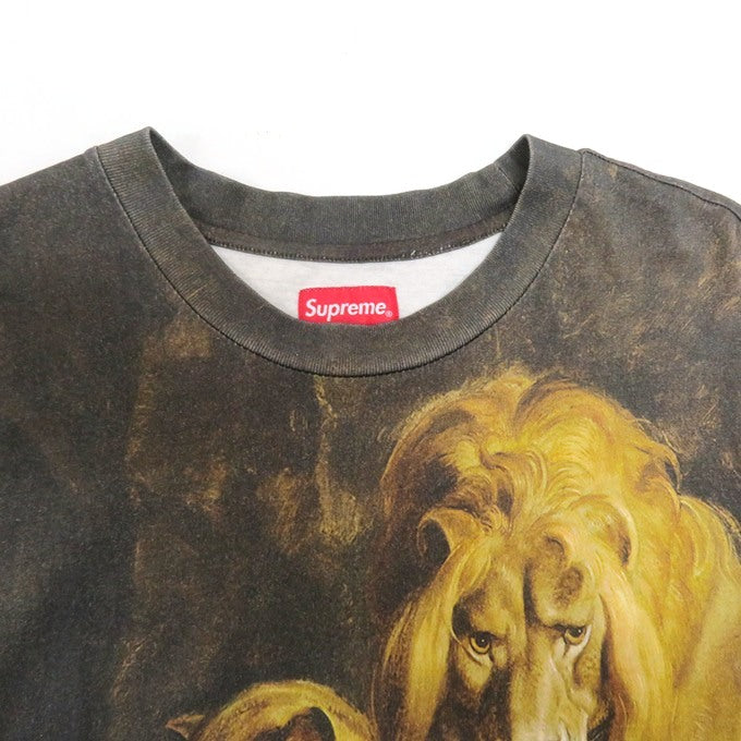 Supreme 22AW Lions' Den All-Over Print T-Shirt Brown Size XL