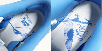 NIKE x NICOLE HAUSE SB DUNK LOW PRO White Blue Sneakers Size 10.5