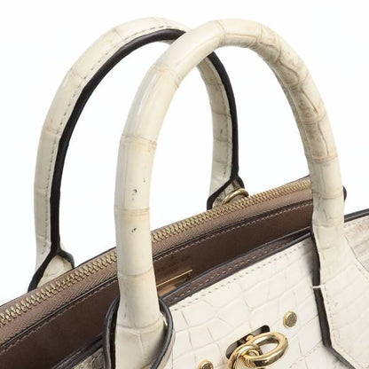 Louis Vuitton City Steamer PM Crocodile Bag Size ONE SIZE