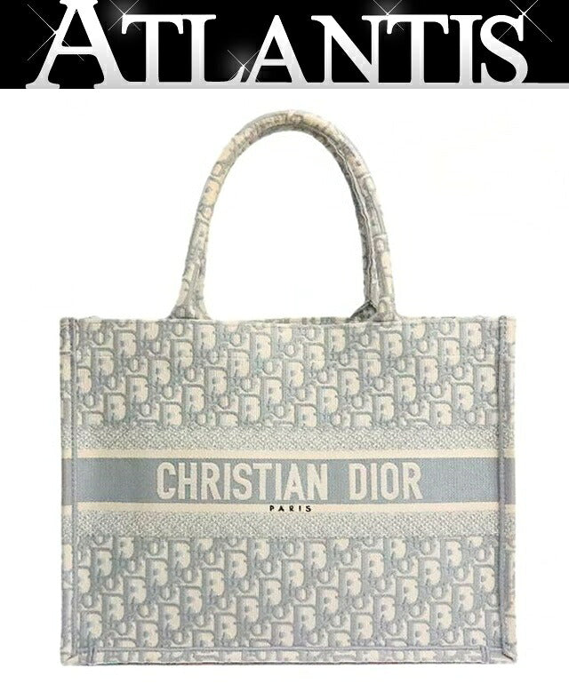 Christian Dior Trotter Medium Bag Gray Size ONE SIZE