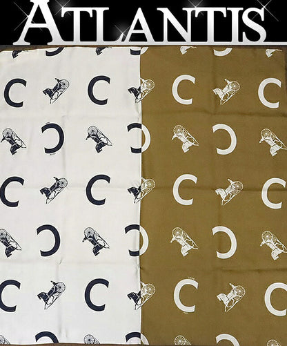 CELINE Silk Horse Carriage Pattern Scarf Brown Size ONE SIZE