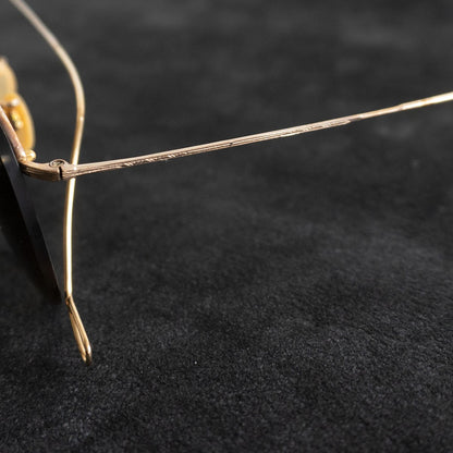 the spectacle Retro Specs Sunglasses