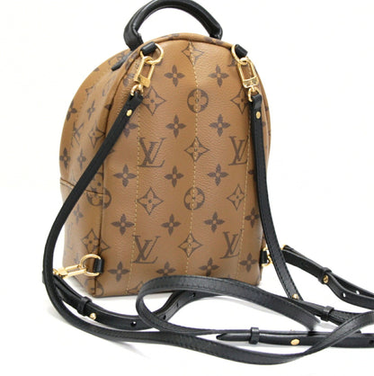 Louis Vuitton Palm Springs Mini Brown Backpack