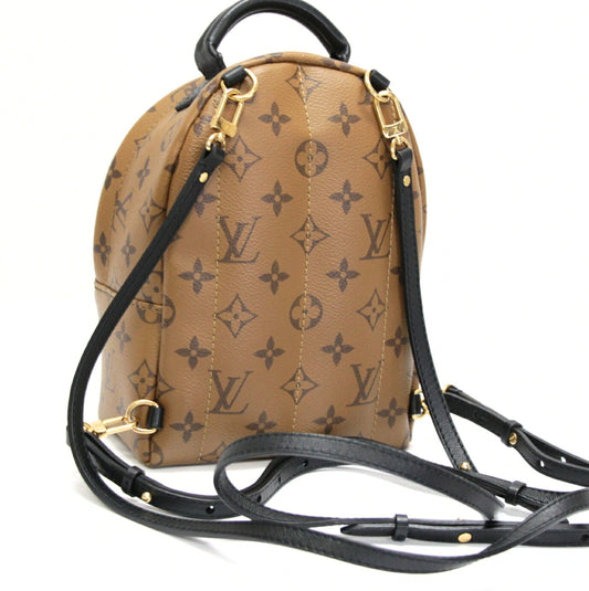 Louis Vuitton Palm Springs Mini Brown Backpack