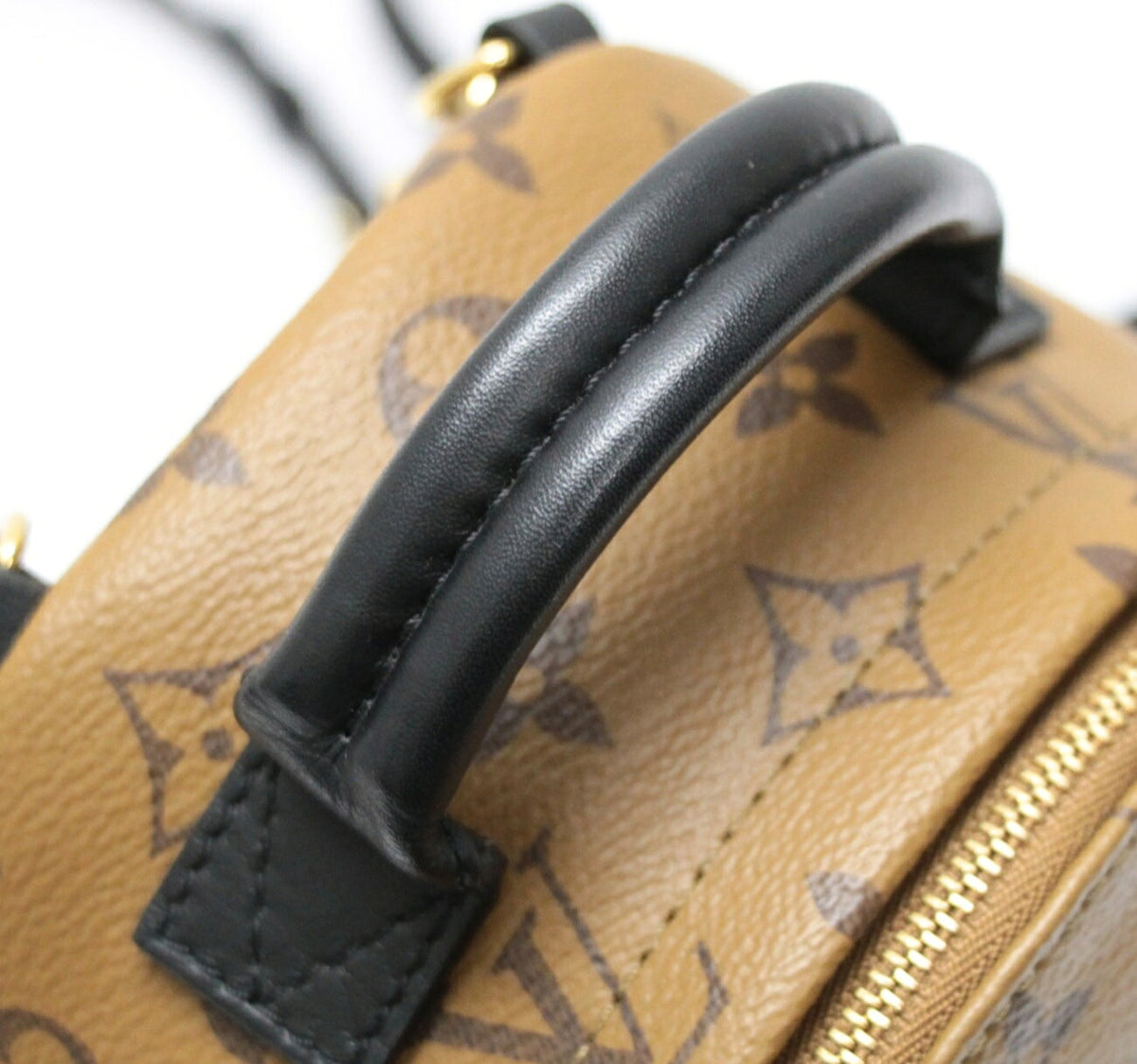 Louis Vuitton Palm Springs Mini Brown Backpack