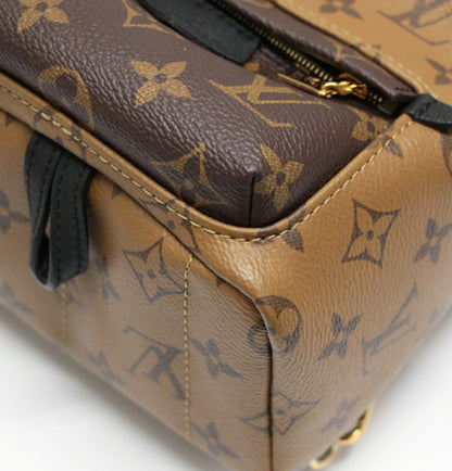 Louis Vuitton Palm Springs Mini Brown Backpack
