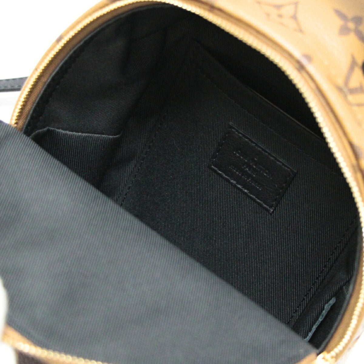 Louis Vuitton Palm Springs Mini Brown Backpack