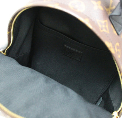 LOUIS VUITTON Palm Springs PM Brown Backpack