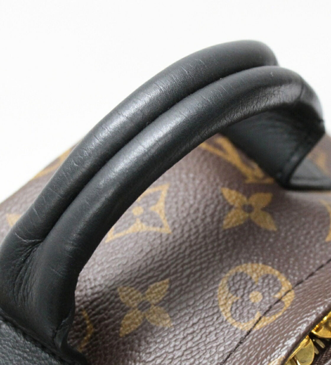 LOUIS VUITTON Palm Springs PM Brown Backpack