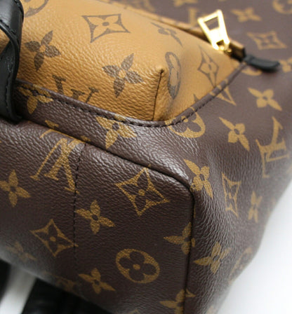 LOUIS VUITTON Palm Springs PM Brown Backpack