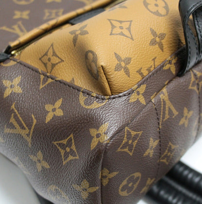 LOUIS VUITTON Palm Springs PM Brown Backpack