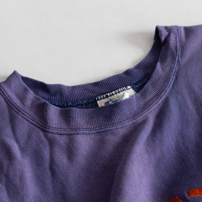 CHAMPION 80s Wheaton Reverse Weave Flock Print Size L