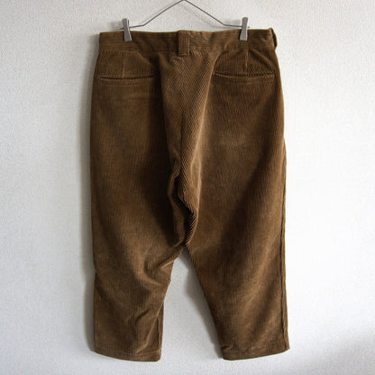 45R Corduroy 908 Easy Poppo Pants Brown Size 34